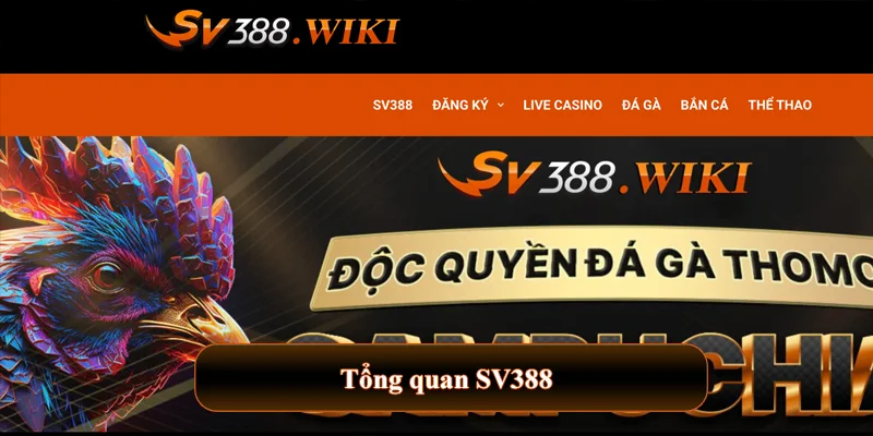 SV388 frei 🎖️ SV 388 | Link Trực Tiếp Đá Gà SV388 KIWI Chuẩn 【8/2025】 30 Tổng quan SV388